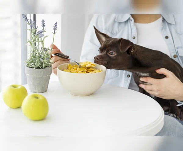 Pet Nutrition