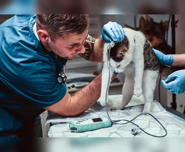 Emergency And Critical Care