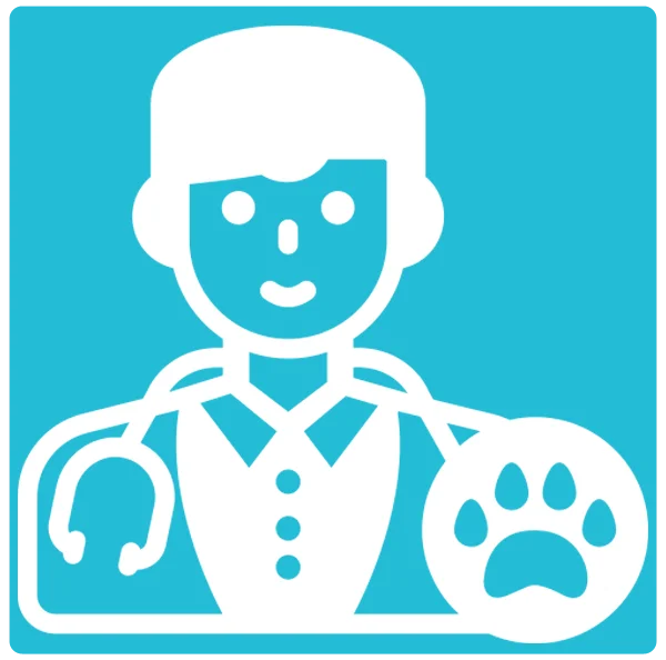 Expert Veterinary Care